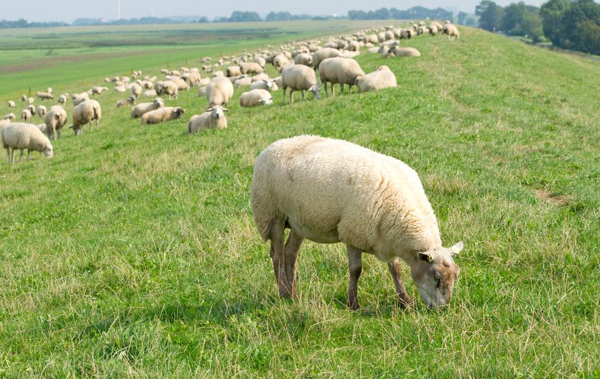 Oficina Acelera Pyme CREEX en la Feria de Zafra del 28 de septiembre al 3 de octubre