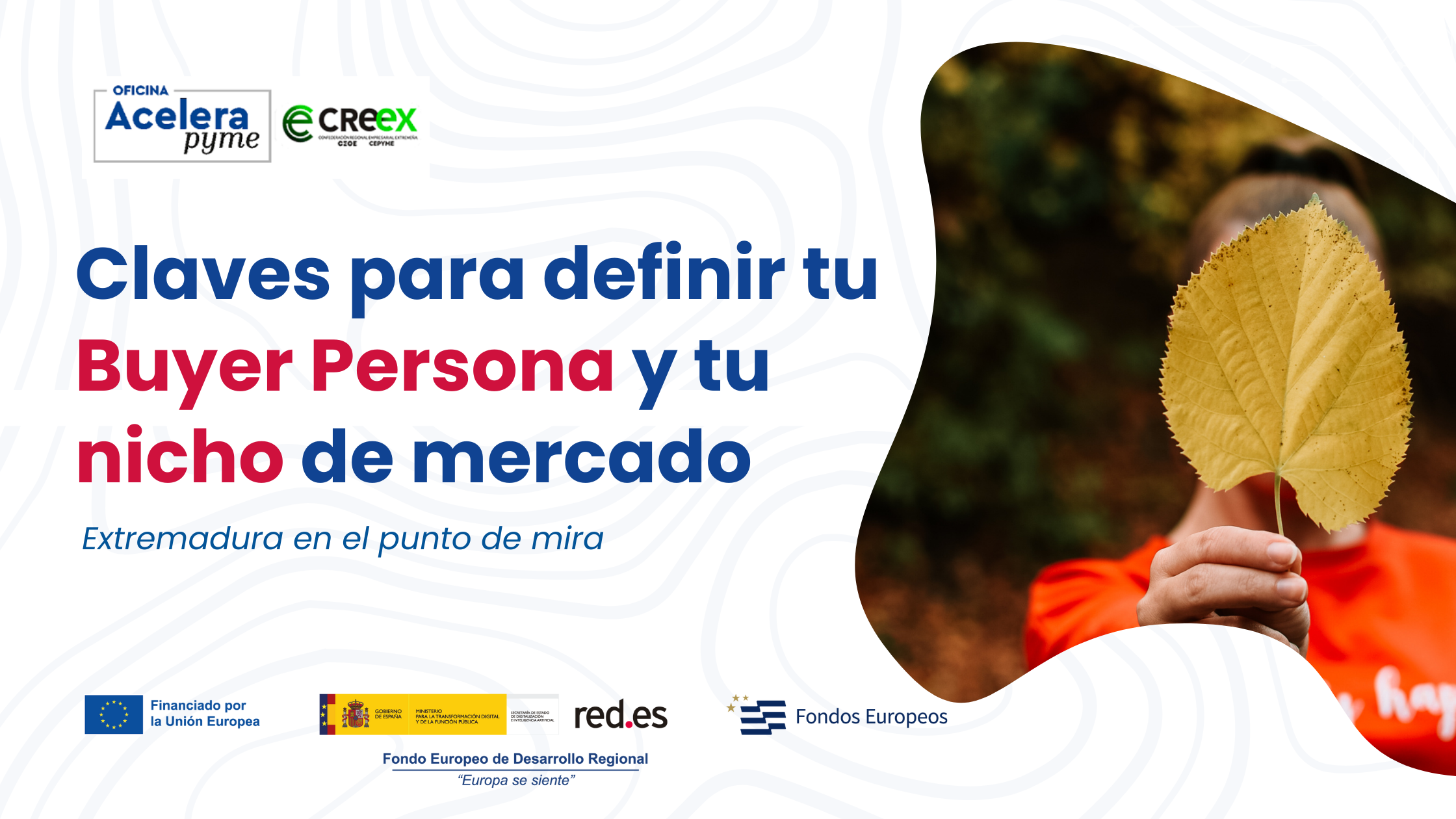 Extremadura en el punto de MIRA: claves para definir tu Buyer Persona y tu nicho de mercado